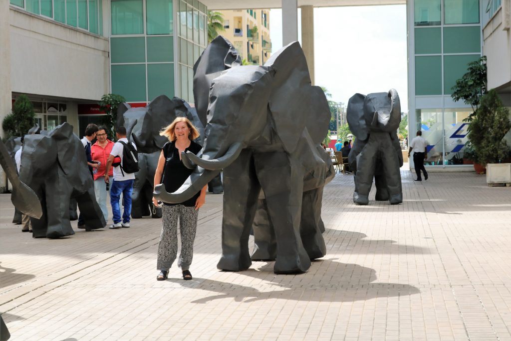 img_0285-los-elefantes-de-jose-emilio-fuentes-fonseca-jeff-en-el-miramar-trade-center